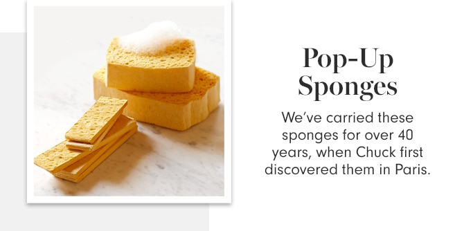 Pop-Up Sponges