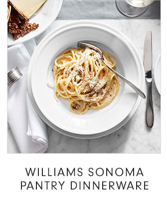 WILLIAMS SONOMA PANTRY DINNERWARE