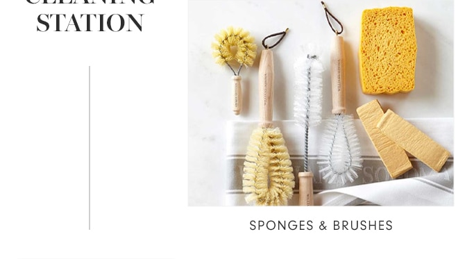 SPONGES