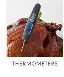 THERMOMETERS