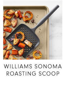 WILLIAMS SONOMA ROASTING SCOOP