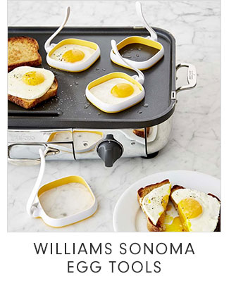 WILLIAMS SONOMA EGG TOOLS