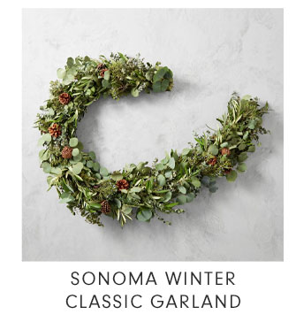 SONOMA WINTER CLASSIC GARLAND