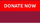 DONATE NOW