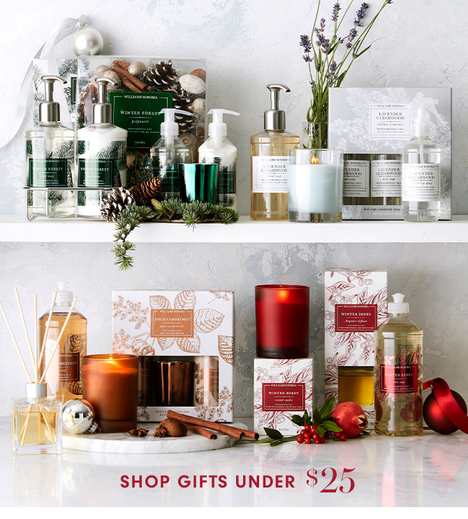 SHOP GIFTS UNDER $25