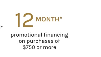 12 MONTH* promotional financing on purchases of $750 or more