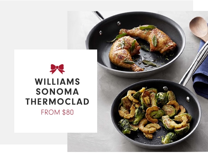 WILLIAMS SONOMA THERMOCLAD - FROM $80