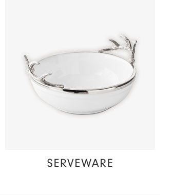 SERVEWARE