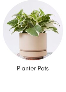 Planter Pots