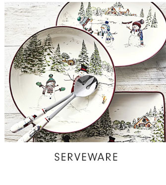 SERVEWARE