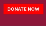 DONATE NOW