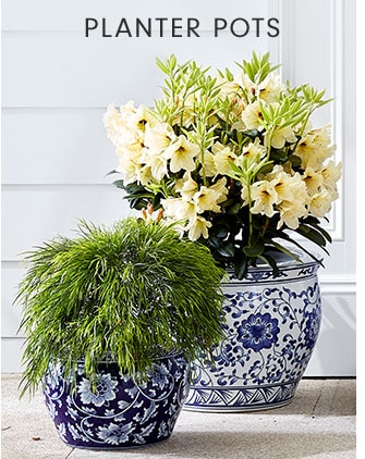 PLANTER POTS