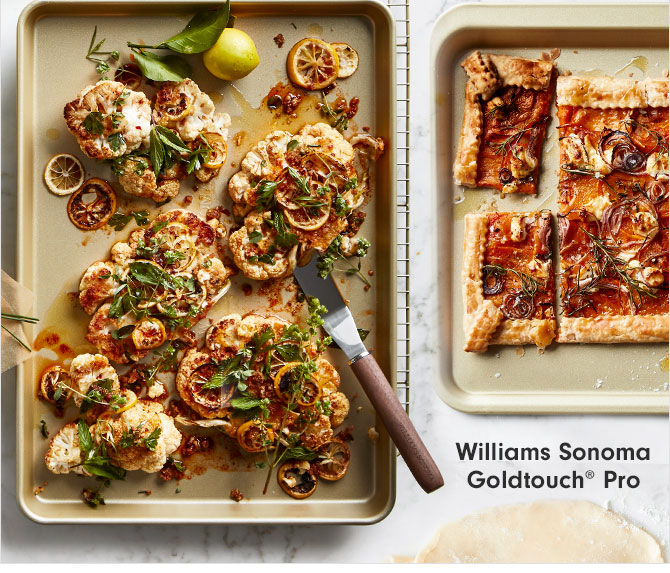 Williams Sonoma Goldtouch® Pro