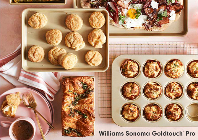 Williams Sonoma Goldtouch® Pro