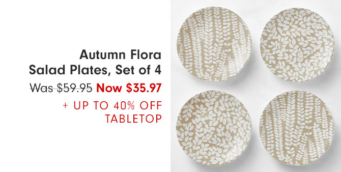 Autumn Flora Salad Plates, Set of 4 - Was $59.95 Now $35.97 + UP TO 40% OFF TABLETOP