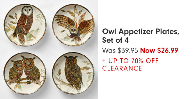 Owl Appetizer Plates, Set of 4 - Was $39.95 Now $26.99 + UP TO 70% OFF CLEARANCE