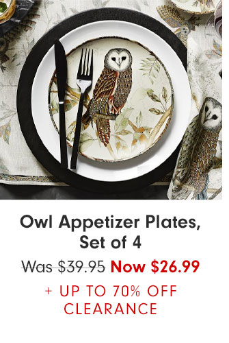 Owl Appetizer Plates, Set of 4 - Was $39.95 Now $26.99 + UP TO 70% OFF CLEARANCE