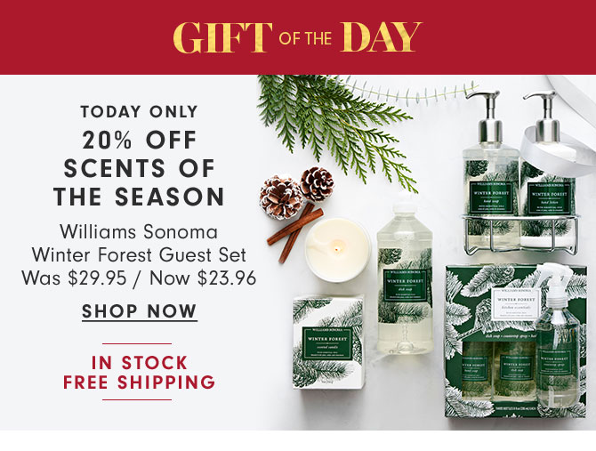 GIFT OF THE DAY - TODAY ONLY - 20% OFF SCENTS OF THE SEASON - Williams Sonoma Winter Forest Guest Set Now $23.96 - SHOP NOW