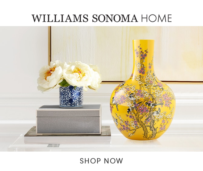 WILLIAMS SONOMA HOME - SHOP NOW