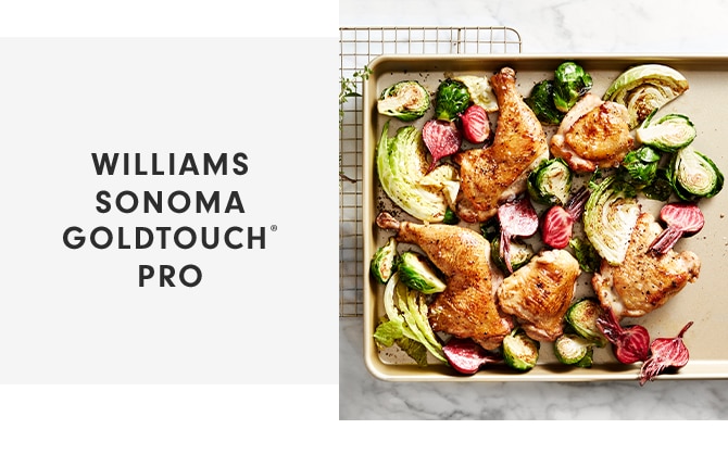 WILLIAMS SONOMA GOLDTOUCH® PRO