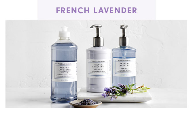 FRENCH LAVENDER