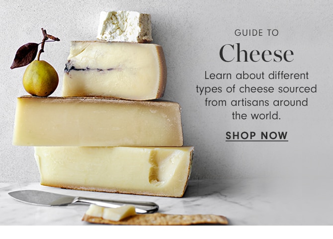 GUIDE TO Cheese - SHOP NOW