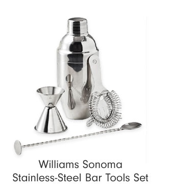 Williams Sonoma Stainless-Steel Bar Tools Set