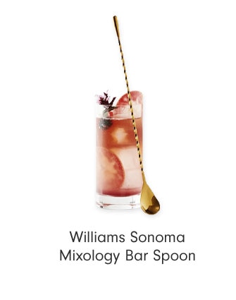 Williams Sonoma Mixology Bar Spoon