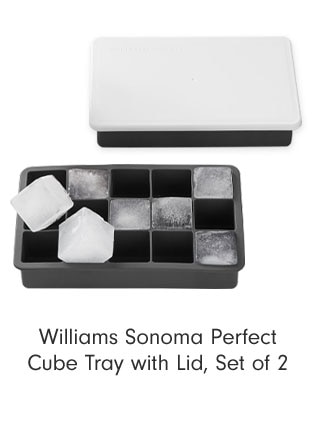 Williams Sonoma Perfect Cube Tray with Lid, Set of 2