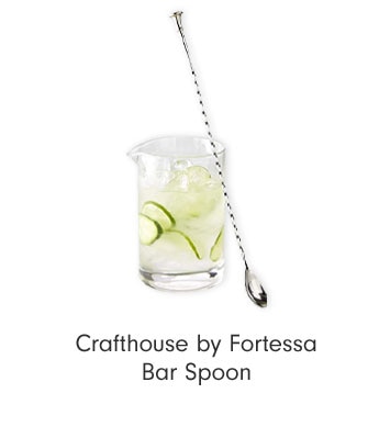 Crafthouse by Fortessa Bar Spoon