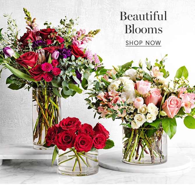 Beautiful Blooms - SHOP NOW