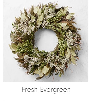 Fresh Evergreen