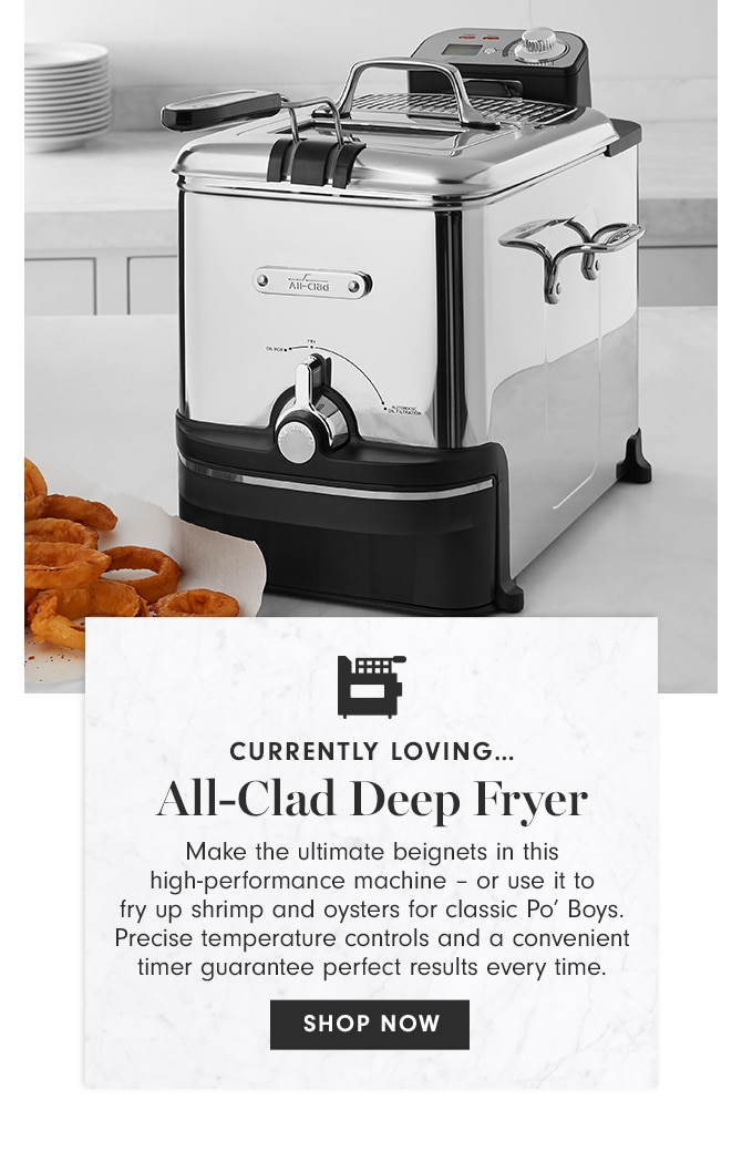 CURRENTLY LOVING - All-Clad Deep Fryer - SHOP NOW