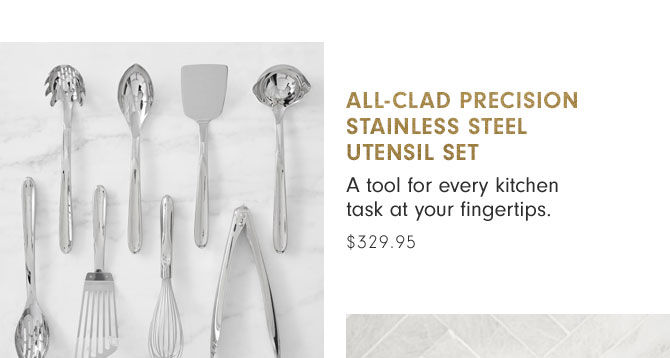 ALL-CLAD PRECISION STAINLESS STEEL UTENSIL SET - $329.95