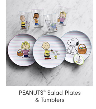 PEANUTS™ Salad Plates & Tumblers