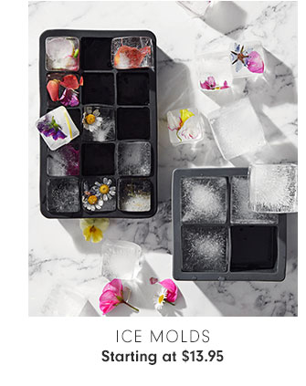 ICE MOLDS Starting at $13.95