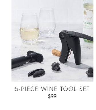 5-PIECE WINE TOOL SET $99