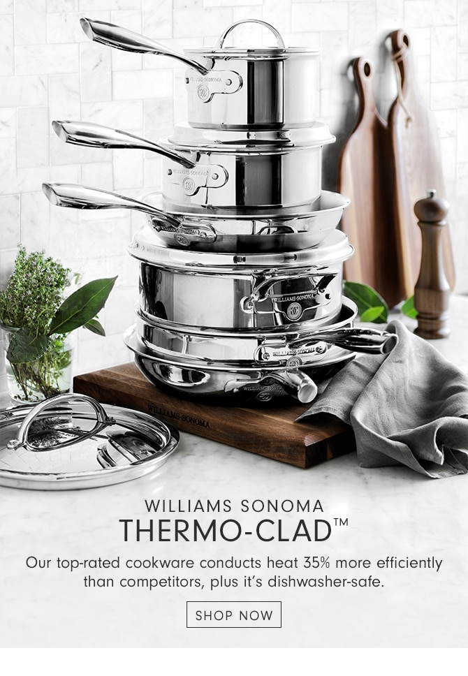 WILLIAMS SONOMA THERMO-CLAD™ - SHOP NOW