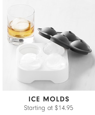 ICE MOLDS - Starting at $14.95