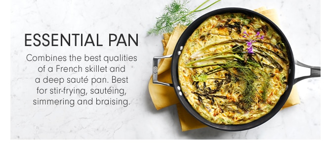 ESSENTIAL PAN