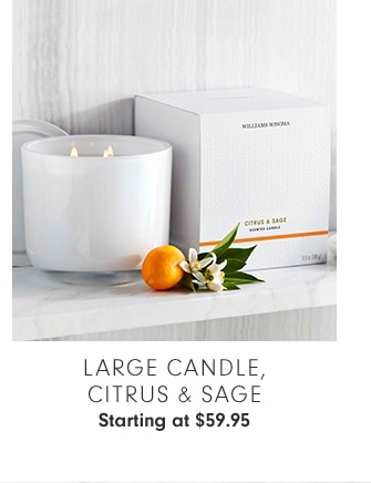 LARGE CANDLE, CITRUS & SAGE - Starting at $59.95