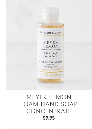 MEYER LEMON FOAM HAND SOAP CONCENTRATE - $9.95