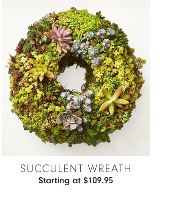 SUCCULENT WREATH - Starting at $109.95