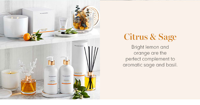 Citrus & Sage - Bright lemon and orange are the perfect complement to aromatic sage and basil.