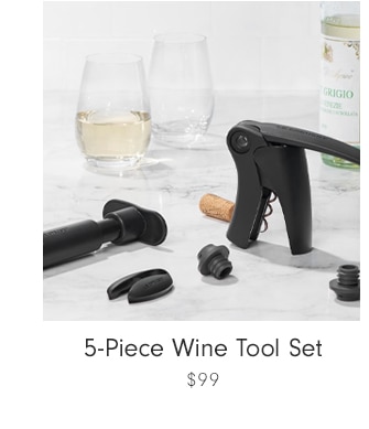 5-Piece Wine Tool Set - $99