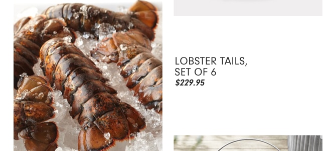 LOBSTER TAILS, SET OF 6 - $229.95