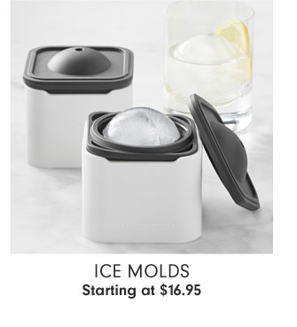 Ice Molds Starting at $16.95