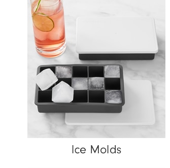 ICE MOLDS