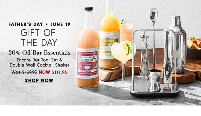 Father's Day - June 19 - GIFT OF THE DAY - 20% Off Bar Essentials Encore Bar Tool Set & Double Wall Cocktail Shaker NOW $111.96 - SHOP NOW