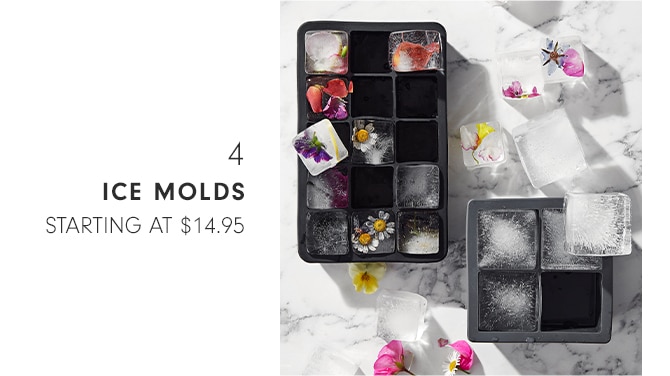 ICE MOLDS - Starting at $14.95